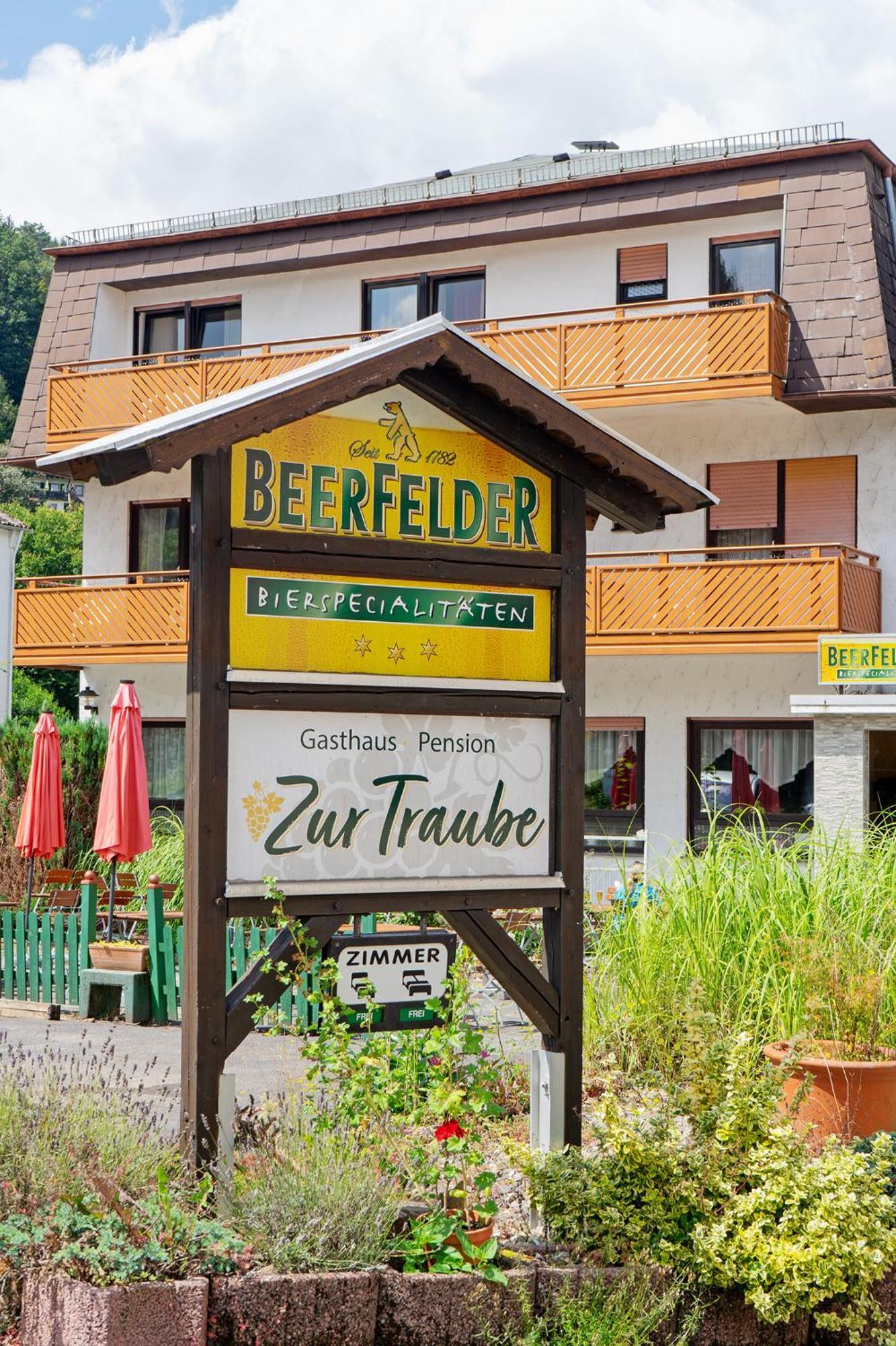 Hotel Gasthof Zur Traube Finkenbach Exterior foto