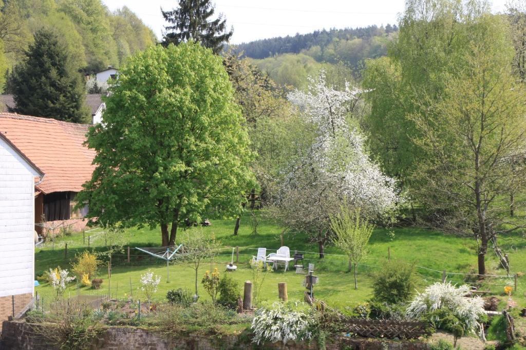 Hotel Gasthof Zur Traube Finkenbach Zimmer foto